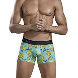 Голубые трусы-хипсы с принтом в виде лимонов Lemons Trunks